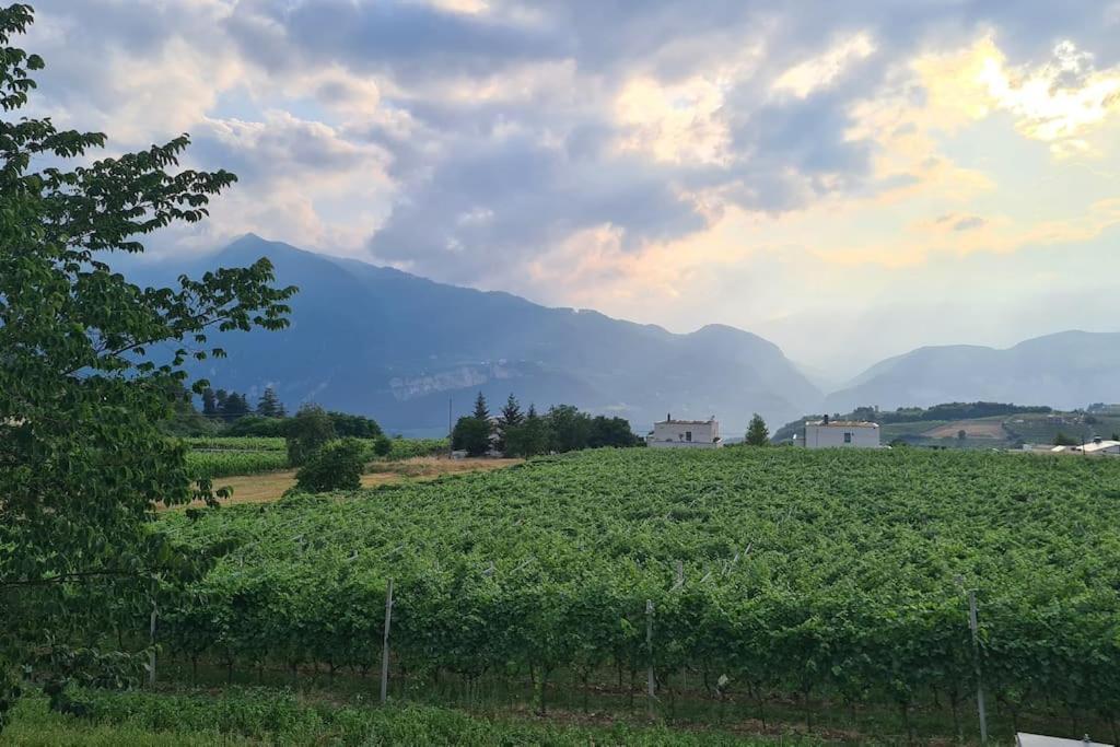 Appartamenti Moderni, Luminosi E Tranquilli Con Parcheggio Privato - Agritur La Tenuta Trento Exterior foto